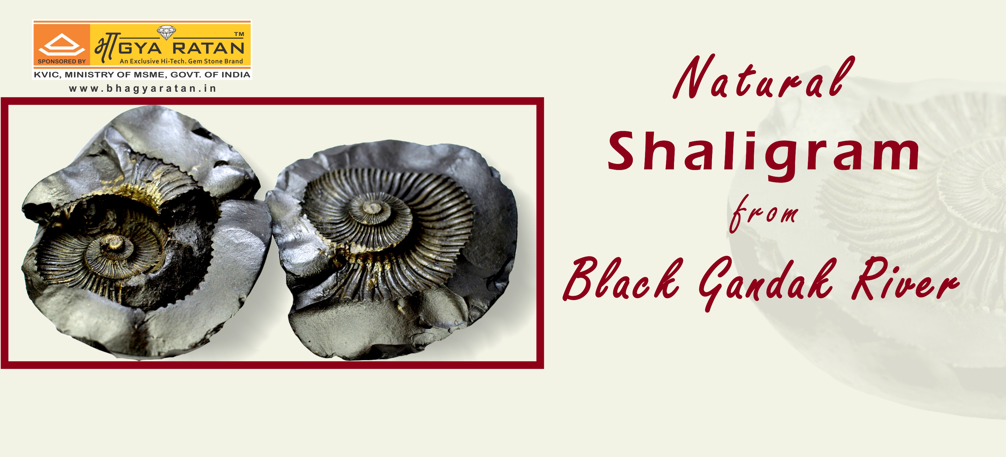 Product Banner 6.jpg